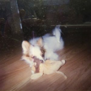 Meet your Posher, D. B.